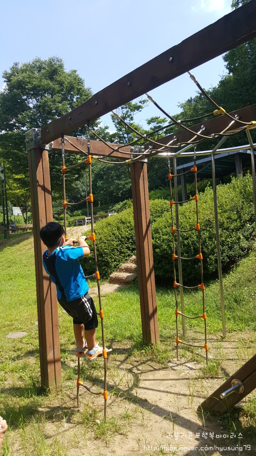 청사초롱 유아숲체험원 이미지