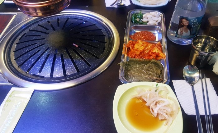 뿔난생돼지 이미지