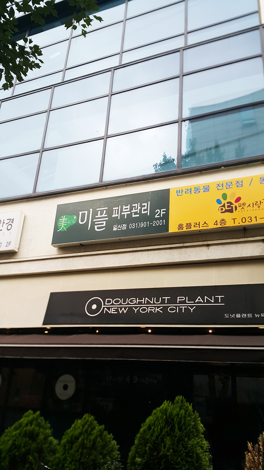 미플피부관리실 이미지