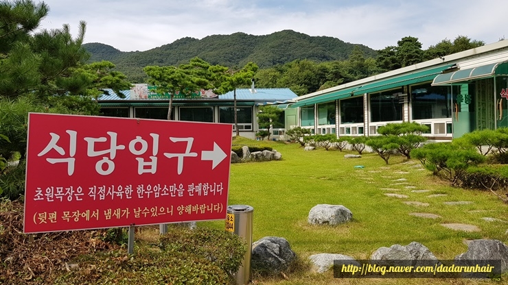 초원정육식당 이미지
