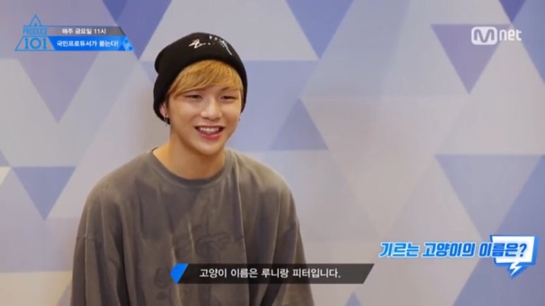 브라보마이레더 이미지