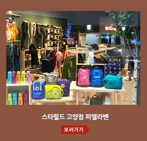 피엘라벤대구 이미지