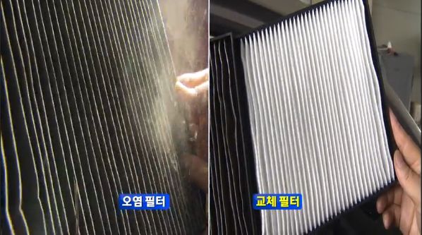 콩콩카워시 이미지