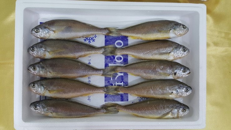 다정수산 이미지