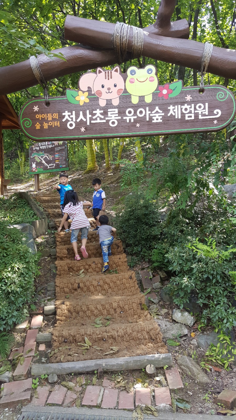 청사초롱 유아숲체험원 이미지