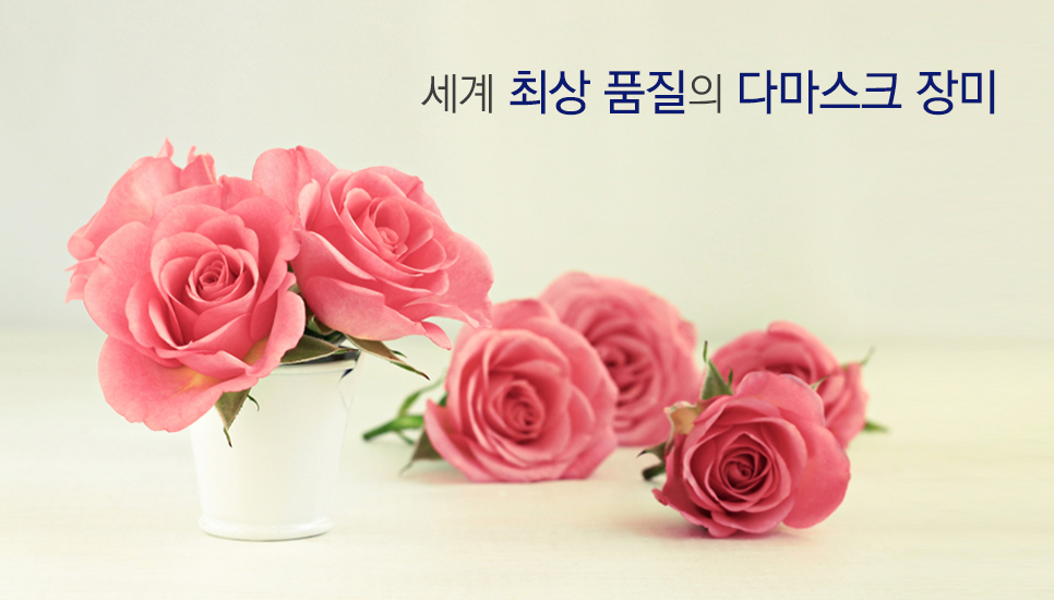 장미나라 이미지