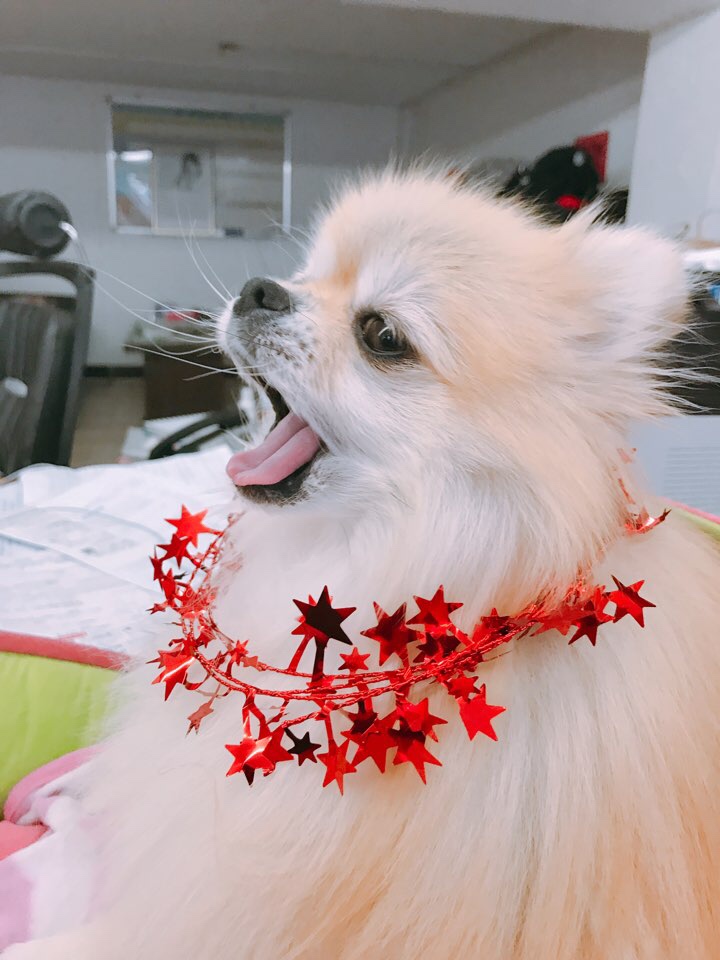 미르텔레콤 이미지