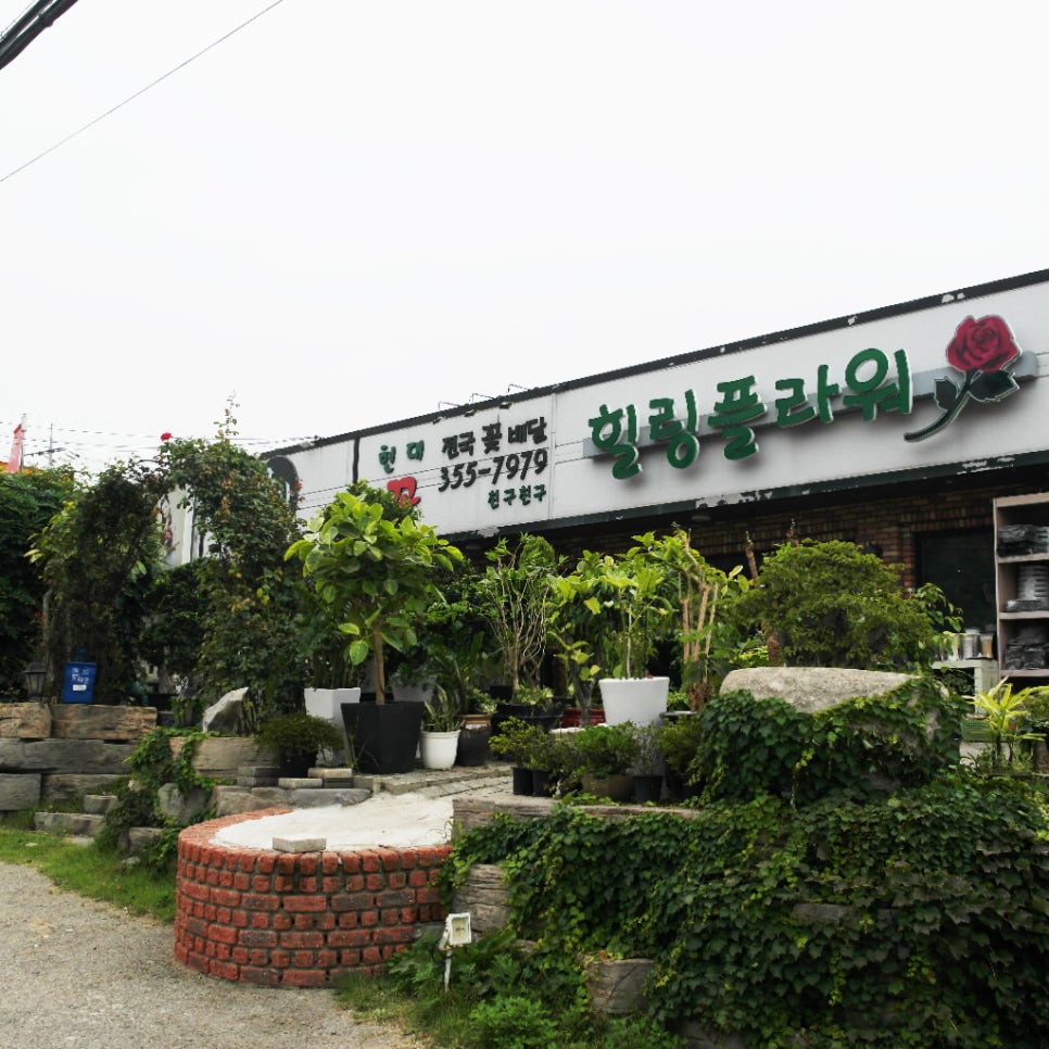 남양꽃집힐링플라워 이미지