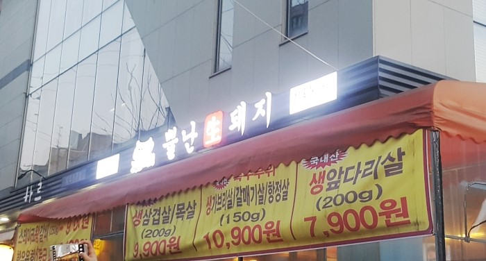 뿔난생돼지 이미지