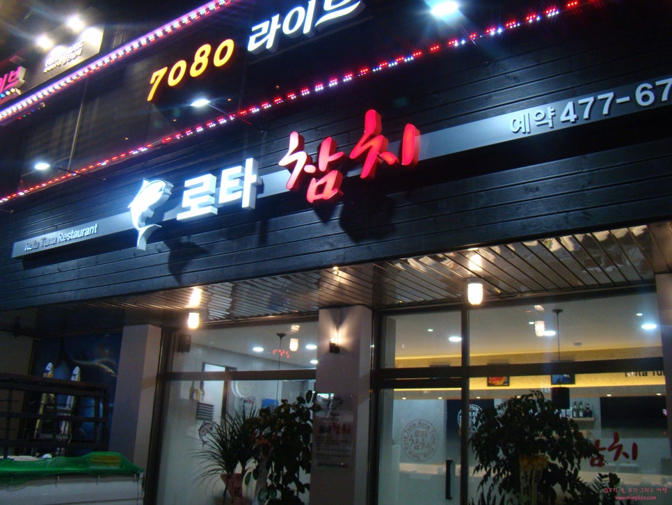 로타참치 이미지