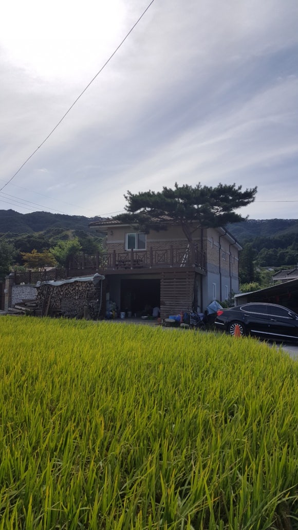 백운당구장 이미지
