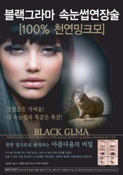 컬러브디자인 이미지