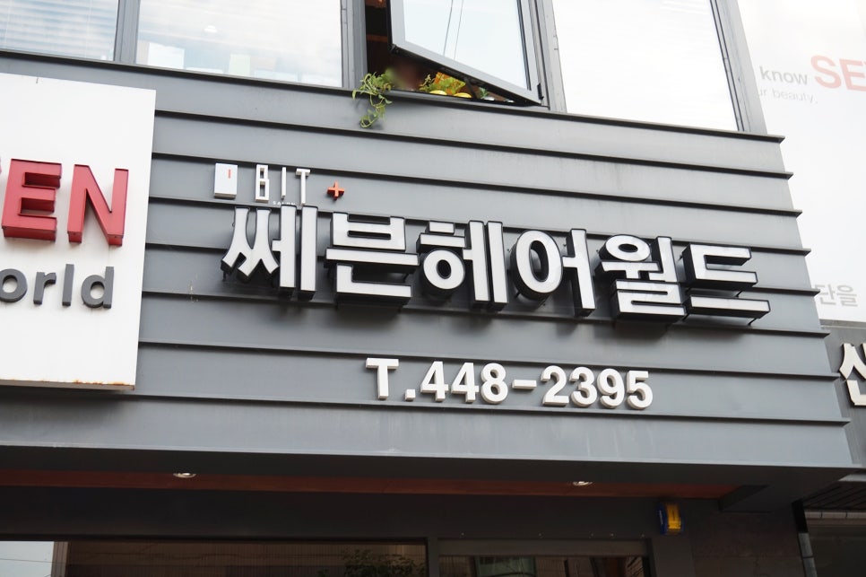 세븐헤어월드 이미지