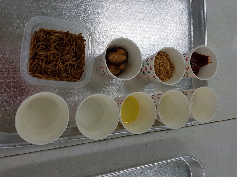 고흥 서가네 굼벵이 이미지
