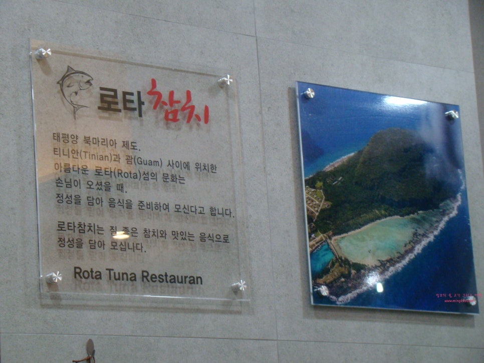 로타참치 이미지
