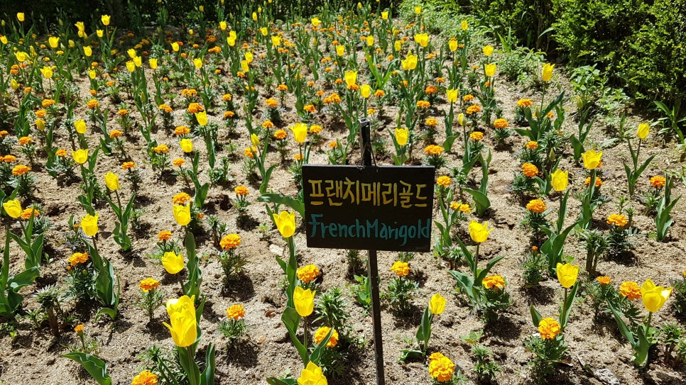 우주노래주점 이미지