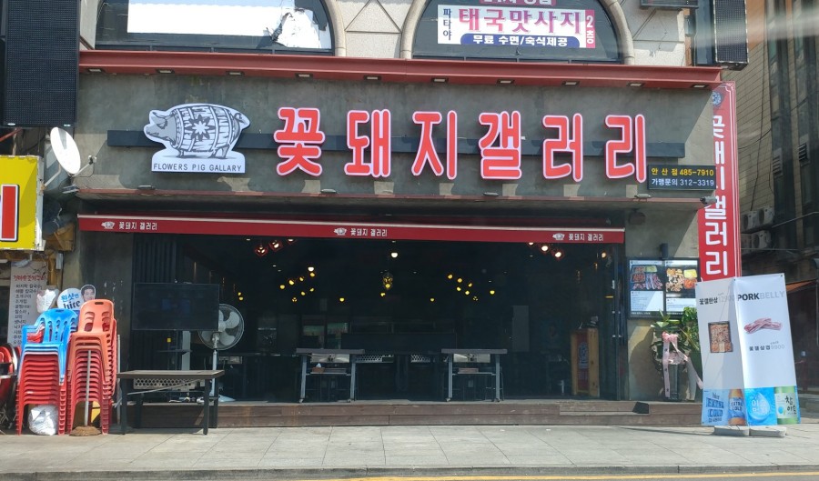 꽃돼지바베큐 이미지
