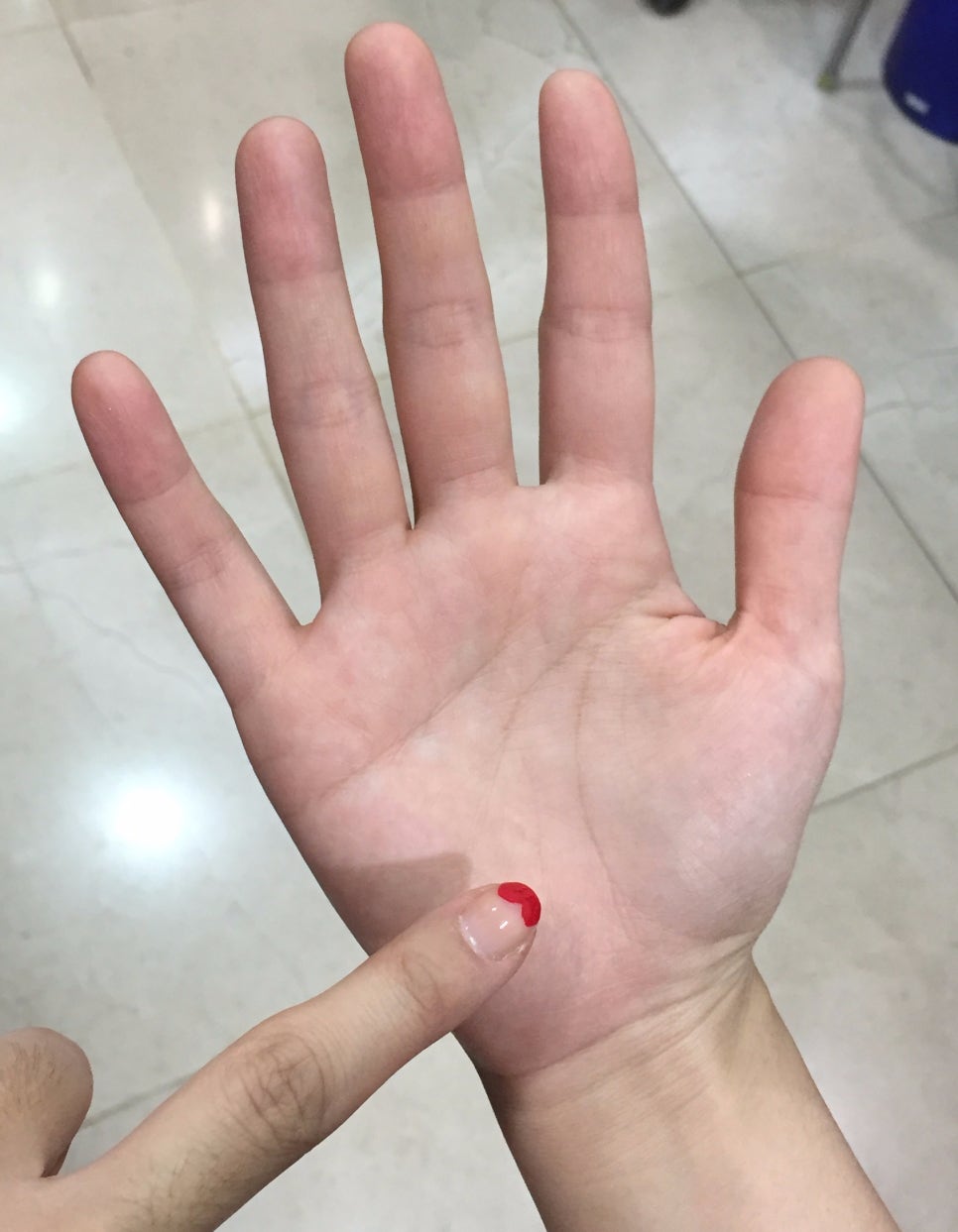 예송 이미지