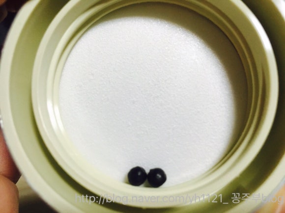 애정아로니아 이미지