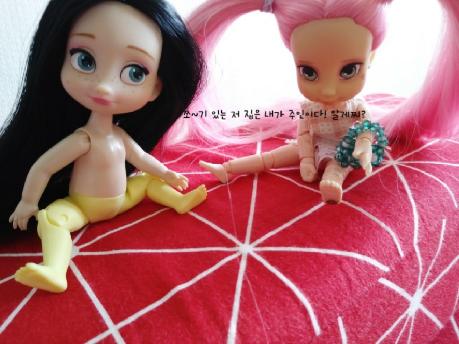펑키안나 이미지