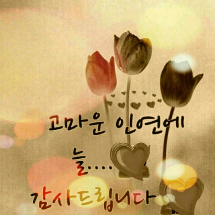 정은테크 이미지