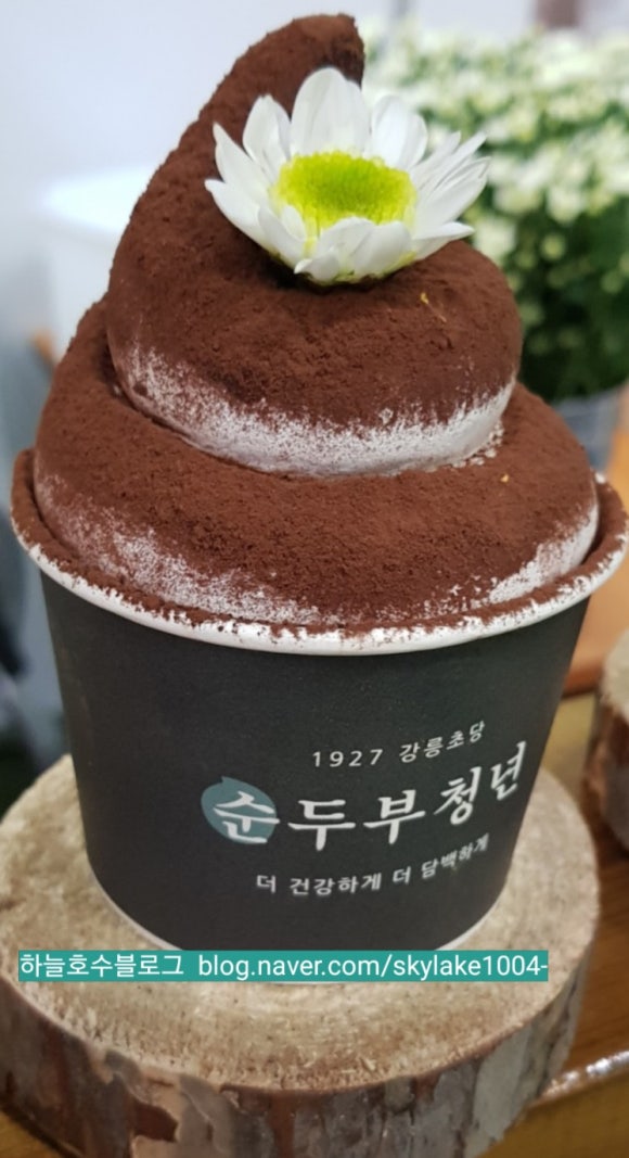 순두부청년 이미지