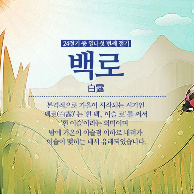 닥스종합 이미지