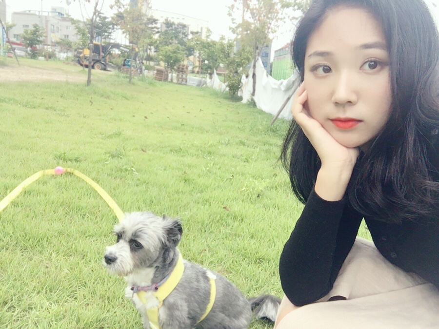 토마네 이미지