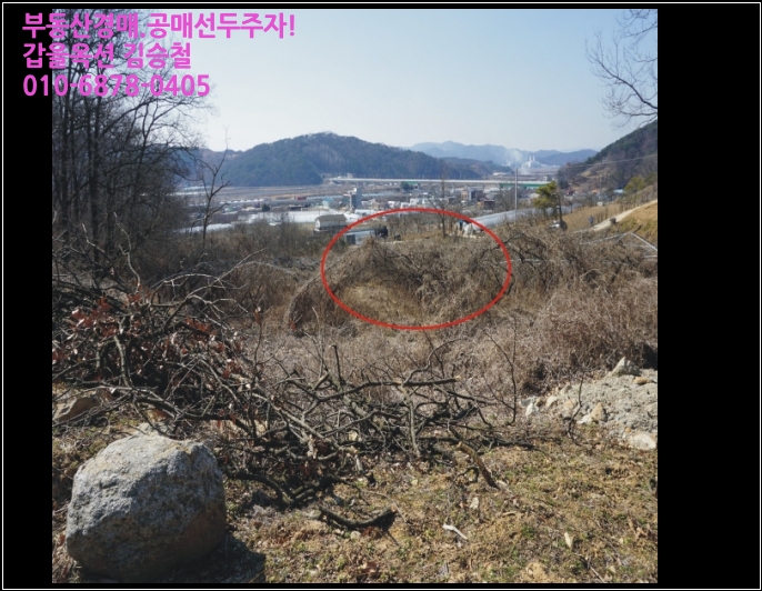 [국도1] 세종시 발산리 이미지