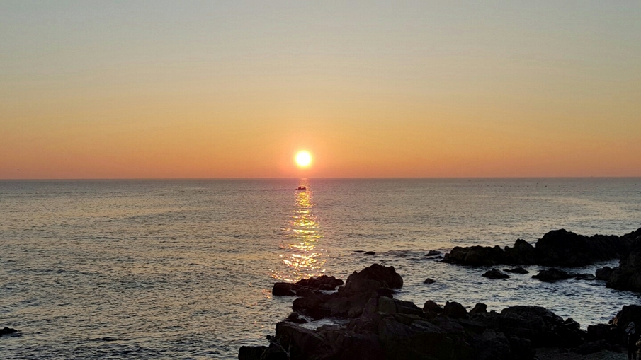 영덕횟집 이미지