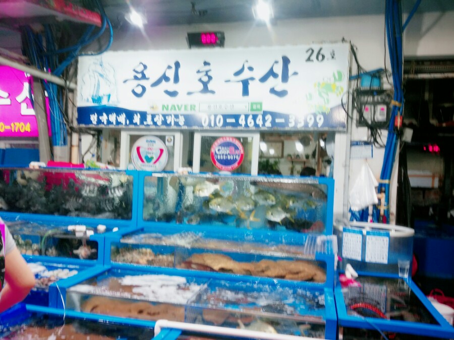 둥둥수산 이미지