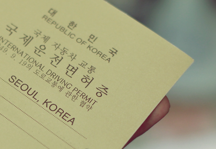 자유국제여행사 이미지