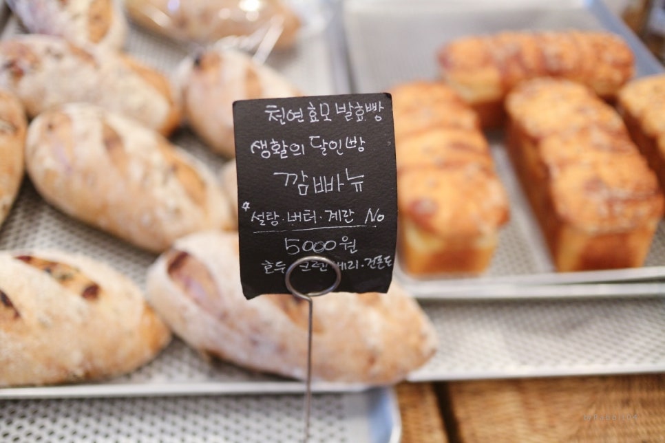 하에레츠 이미지