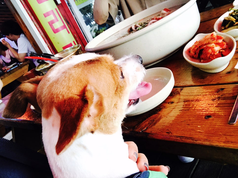 보라펜션식당 이미지