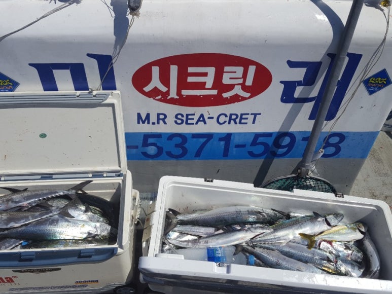 미래낚시 이미지