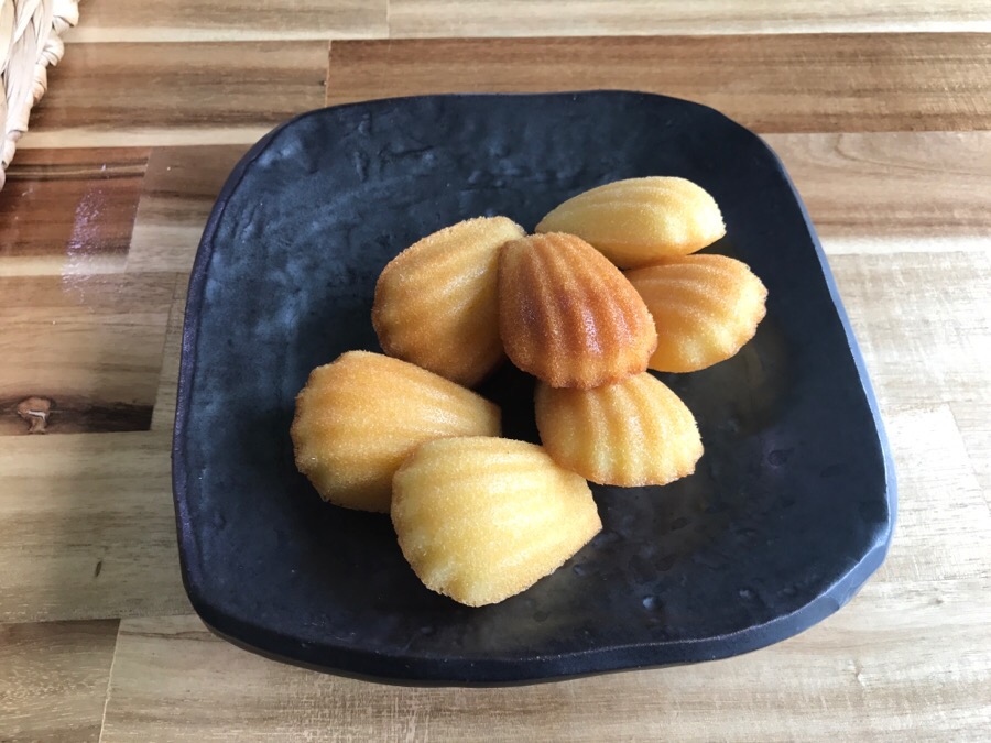 저지살롱 이미지