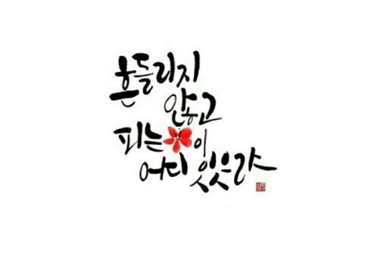 마렌지오스포츠센타 이미지