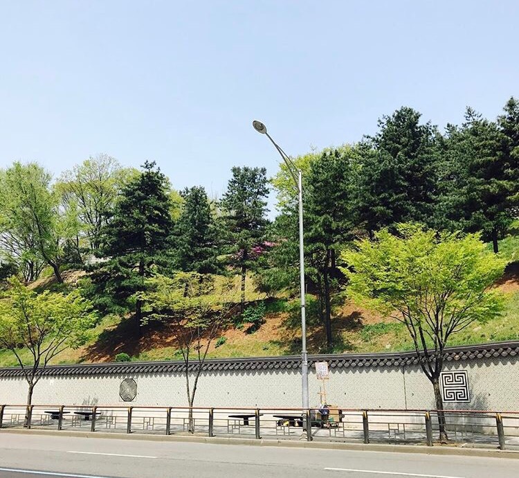 샤넬텔레콤 이미지