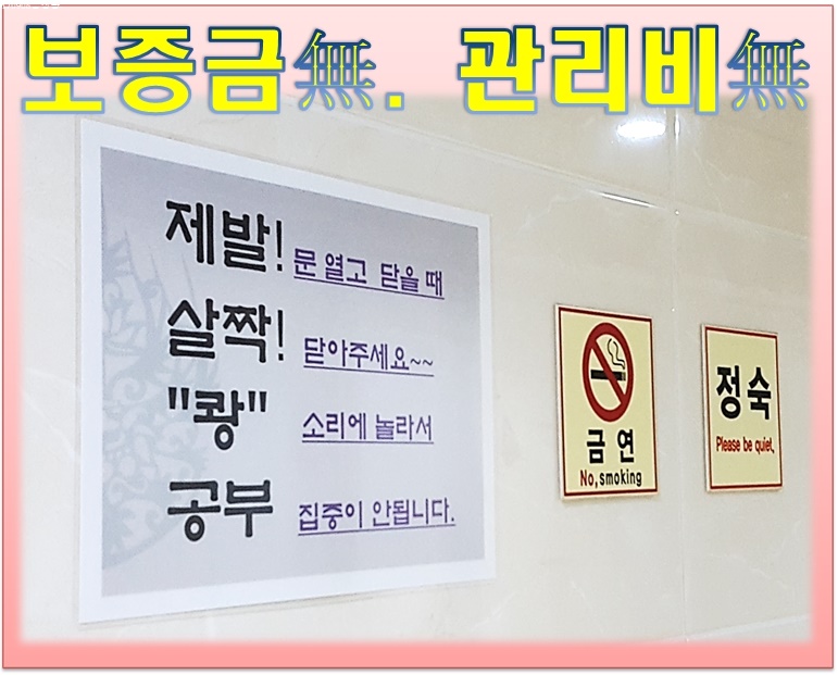 예솔 이미지