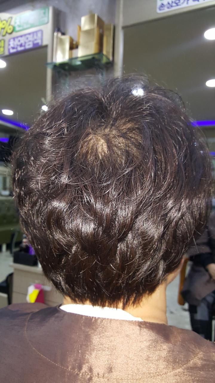 머리향기미용실 이미지