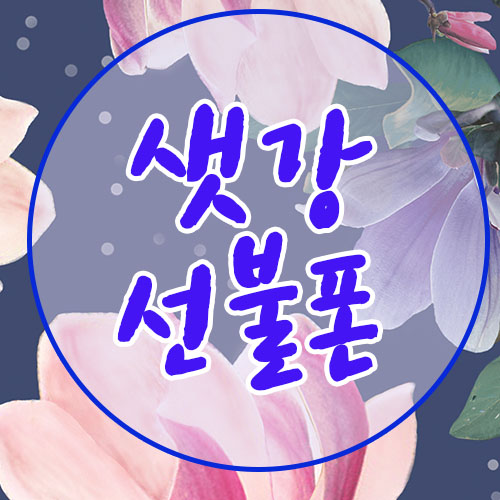 샤넬텔레콤 이미지