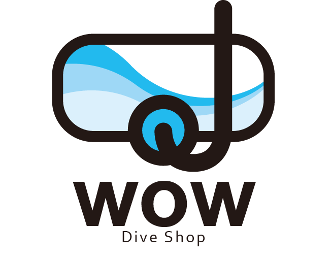 와우 숍(WOW Shop) 이미지