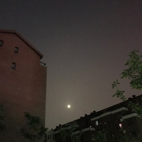 대일건축 이미지