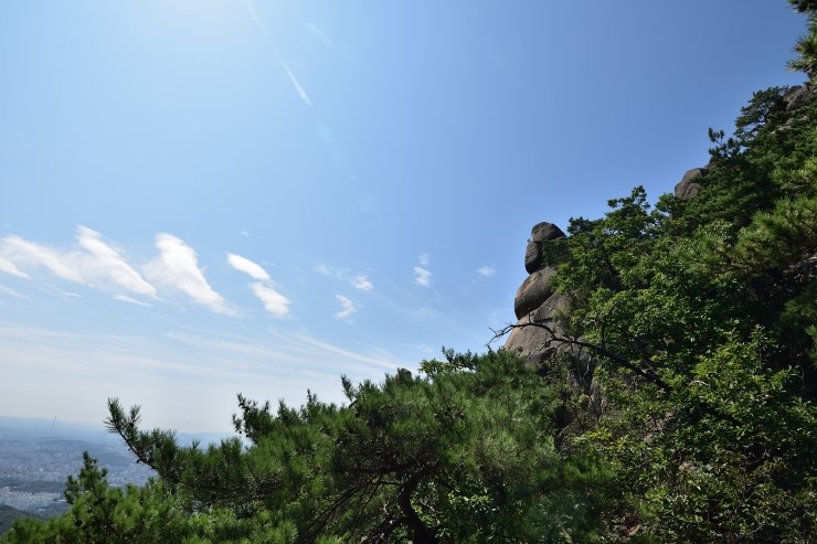 길상돈가스 이미지