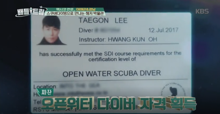 인투더씨 이미지