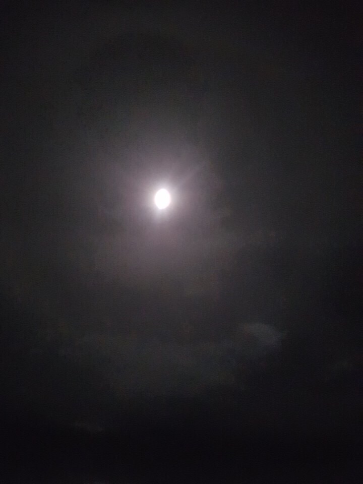 별빛그릴 이미지