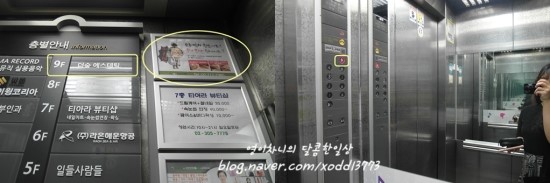 더숲 에스테틱 이미지