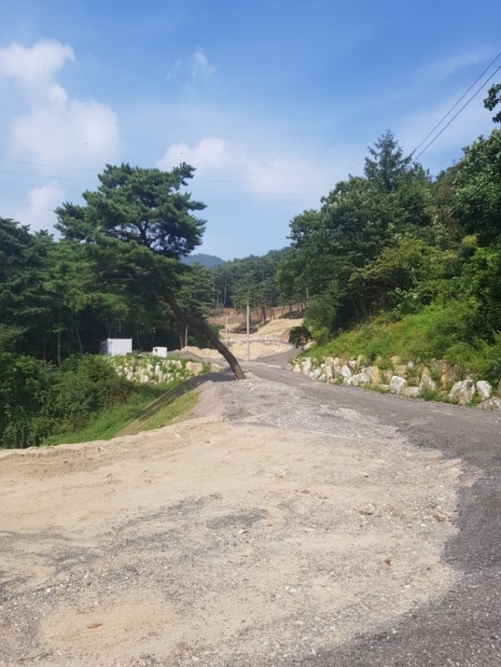 치악계곡식당 이미지