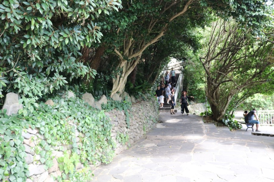 한국렌트카 이미지