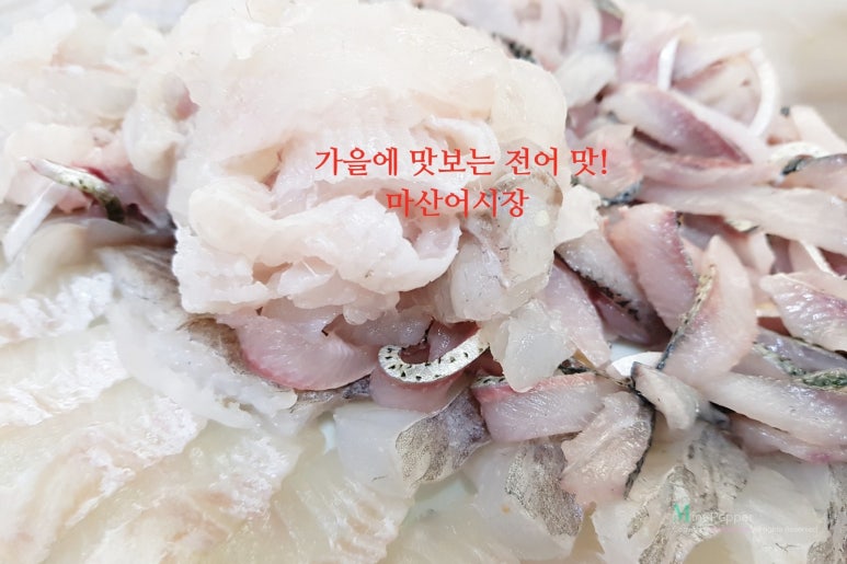 대성활어회센타 이미지
